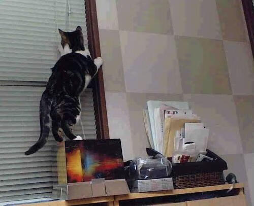 西甲德比余波，里昂友谊赛惊天逆转巴拉圭，焦点战精神再燃