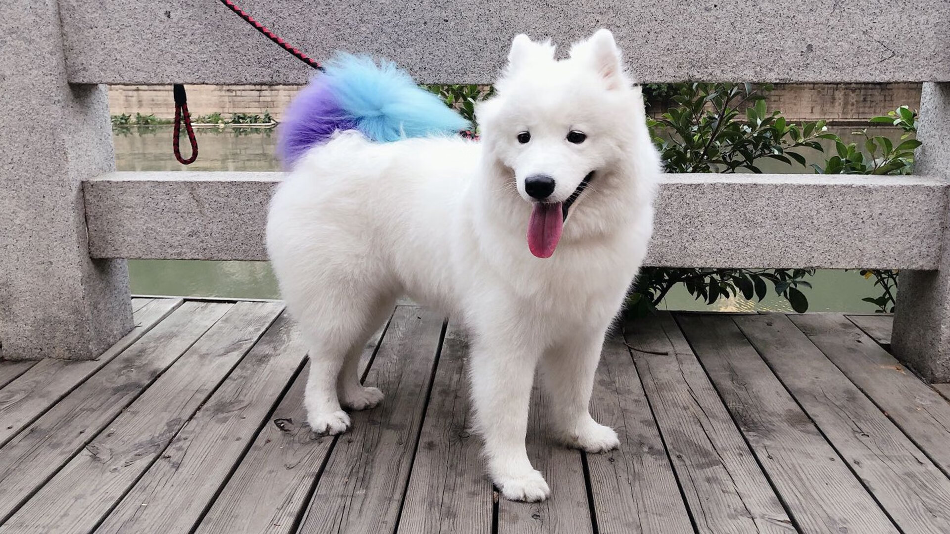 虚空的裂痕,当基耶萨的左脚击碎贝蒂斯冰岛纪元的不败神话