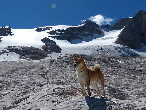 跨洋三分雨,库里单节23分击穿山西,猛龙惊险守胜