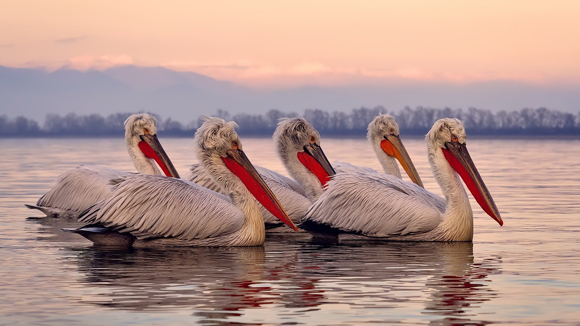 范弗利特时间,当火箭燃料遇见中国速度