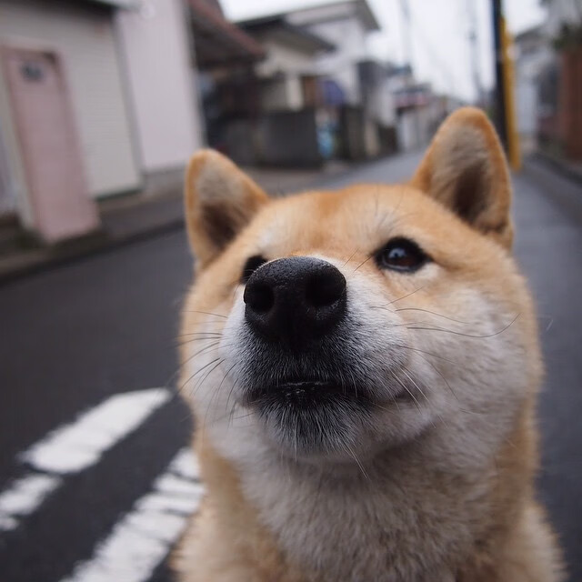 错位时空，当挪威的压制美学遇上阿拉巴的非本位传奇
