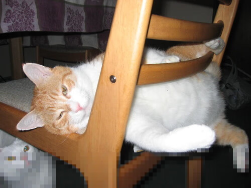 F1新赛季揭幕战，巴拉圭火力全开，赛道内外上演中国压力测试