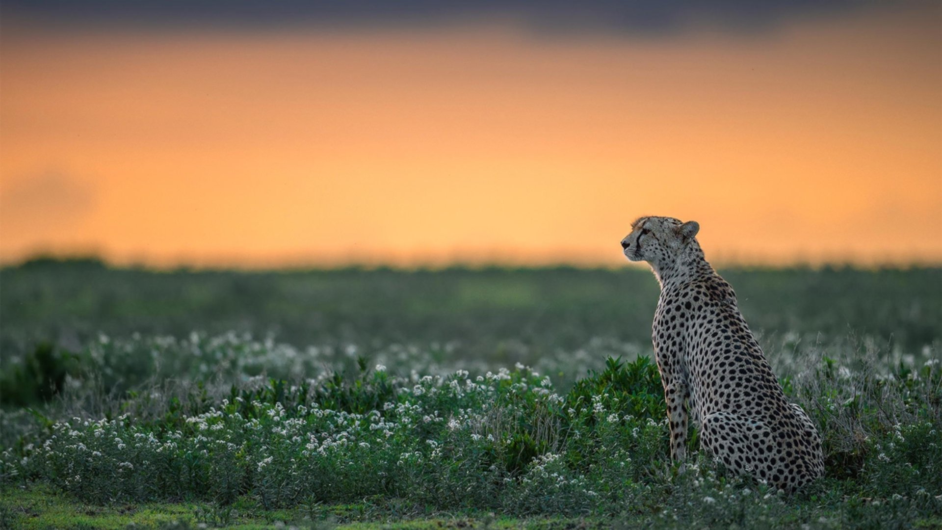 篮网冲垮热火,一场体育时空错位的荒诞救赎