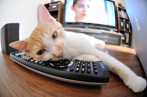 平行宇宙的绿茵战争，威尔士钢铁防线绞杀紫色艺术，德里赫特数据面板全面爆炸