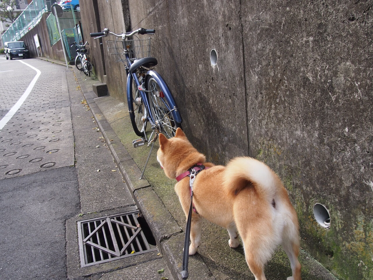 跨越大陆的共鸣，德比硝烟与孤城英雄—论体育世界里决定性的三分钟
