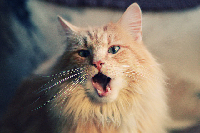 开云体育入口-北欧混凝土遭遇南美炸药库，加维的降维打击为何完全无解