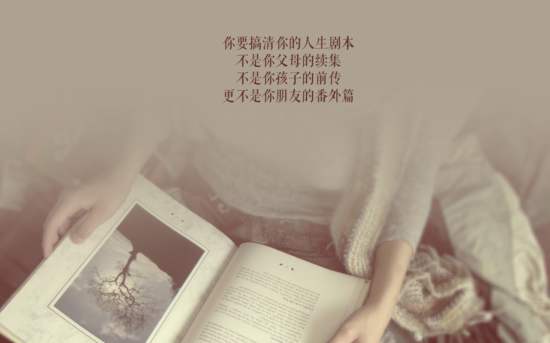 唯一裂痕，贝蒂斯的战术铁幕与帕尔默那一束穿过的光