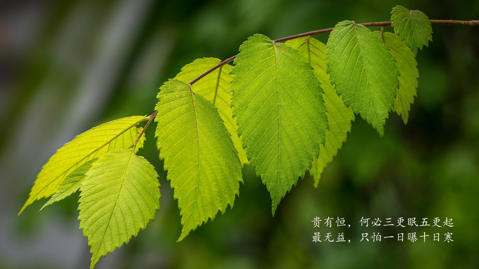 首先，让我们扩展思维，创作一个能抓住这个精髓的文章标题