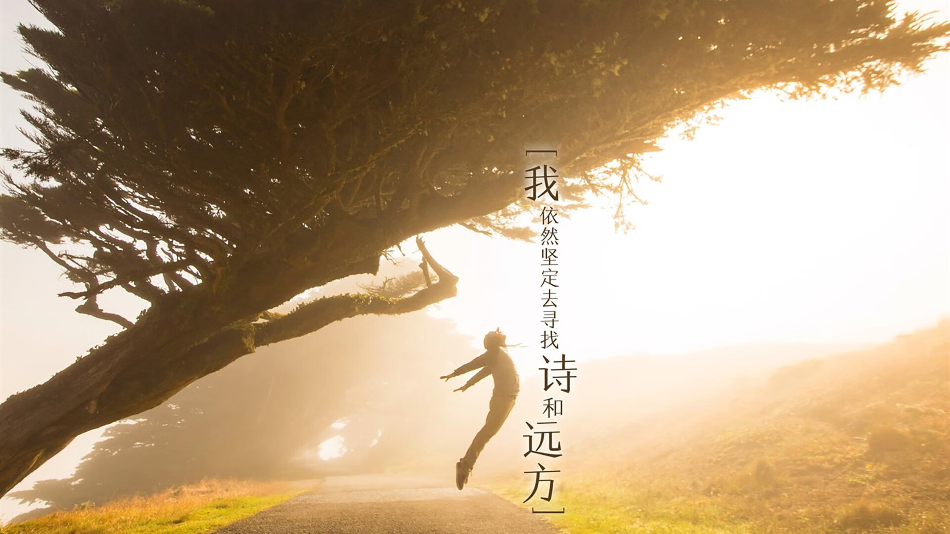 沙漠风暴席卷潘帕斯，伊拉克用窒息节奏与拉什福德冷血一击，改写2026世界杯F组剧本